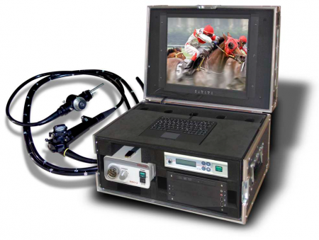 Video Horse Gastroscopy Complete System